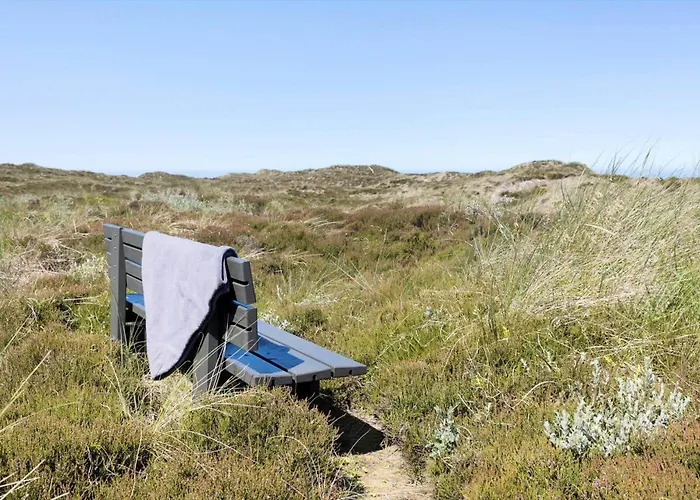 Hébergement de vacances 796-snedsted-somaerkevej-66 *