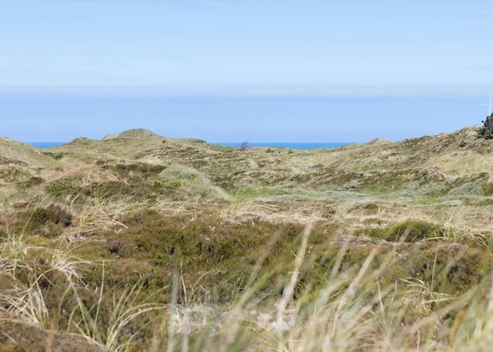 Hébergement de vacances 796-snedsted-somaerkevej-66